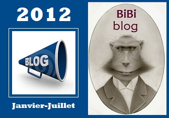 BIBI-BLOG