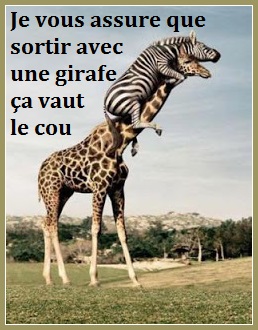 girafe blog