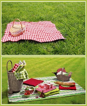 PIC NIC CITOYEN